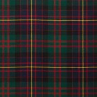 Reiver Light Weight Tartan Fabric - Cameron of Erracht Modern